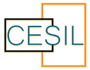CESIL Interactive, LLC